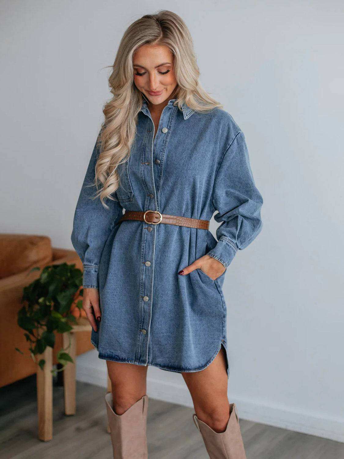 Button Up Collared Neck Long Sleeve Denim Dress